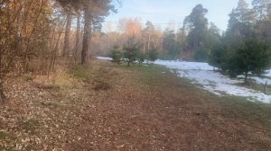 Про саморазвитие. Часть 3