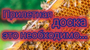 Прилетная доска-это необходимо...🐝🐝🐝