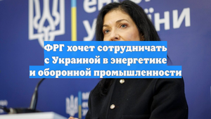 ФРГ хочет сотрудничать с Украиной в энергетике и оборонной промышленности