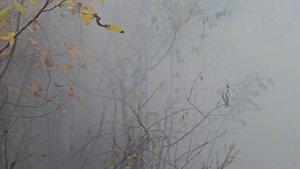 Закрытие 25.10.25