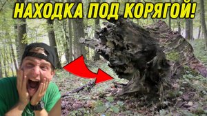 Сигнал под СТАРОЙ КОРЯГОЙ Оказался очень ДРЕВНЕЙ НАХОДКОЙ, Везет так Везет на КОПЕ в ЛЕСУ!!!