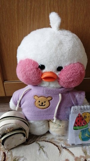 Собираем вещи на Ковкас. Каникулы