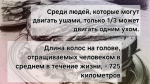 интересные факты