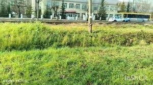 Поход в Находку и встреча с Альбиной