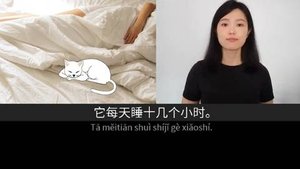 КИТАЙСКИЙ (猫在哪儿) А1-5