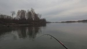 КРУПНАЯ ЩУКА КЛЮНУЛА НА ПАДЕНИИ ПРИМАНКИ
