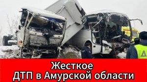 ДТП с автобусом и грузовиком в Амурской области10 пострадавших, спасатели развернули пункт обогрева