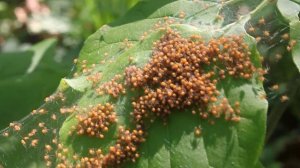 Детский сад. С какой стороны ни посмотри )))