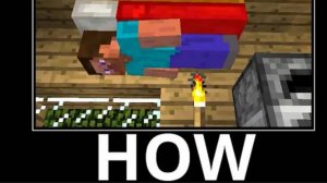 WAIT WHAT (Minecraft) #1