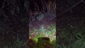 Новые приключения 1 влог 1 день 1 часть.