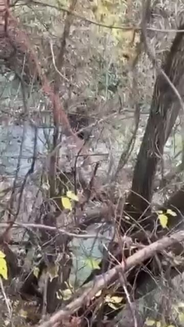 telegram-cloud-document-2-5472423230054628947 смотреть онлайн