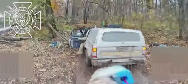 Всё, приехали ! 💥🐽