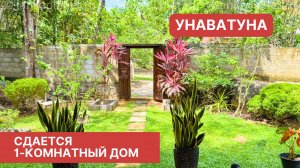 Сдается 1-комнатный дом, Унаватуна, Шри-Ланка