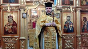 Что посеешь, то и пожнёшь".
 Проповедь  настоятеля игумена Александра (Болдовского)
 Владимирская це