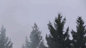 Осенний дым из трубы
