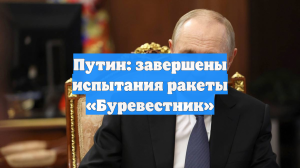 Путин: завершены испытания ракеты «Буревестник»