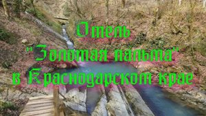 Отель «Золотая пальма» в Краснодарском крае