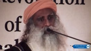 Правда о чакрах