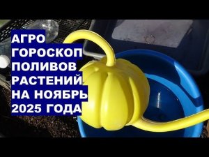 Самые Лучшие Дни для Полива Растений в Ноябре 2025!