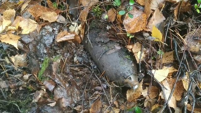 Опасная железяка.