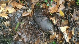 Опасная железяка.