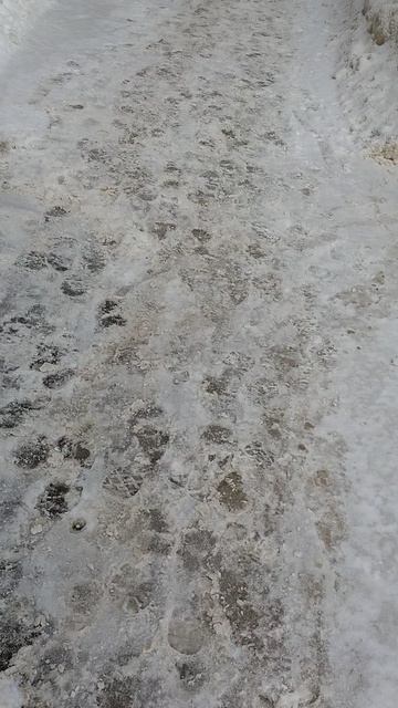 №205. ул. Газеты Звезда. 7 марта 2025 г., 10:48:06. VID_20250307_104510411