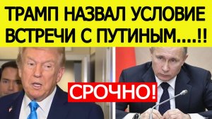 Новости сегодня 26 октября : Трамп назвал условие встречи с Путиным!