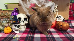 Зло не дремлет! Зло тебя съест!