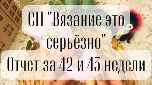 СП "Вязание это серьёзно" отчет за 42 и 43 недели