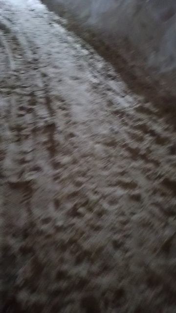 №214. Двор Сибирская 73. 10 марта 2025 г., 21:24:14. VID_20250310_212316221