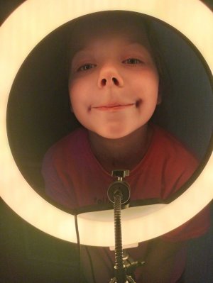 Играем с крысами