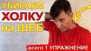 Всего 1 упражнение от Холки на шее