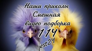 Наши приколы 114 / Смешная видео подборка