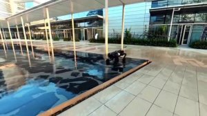 Китайский робопёс «спарка»: дальнейший прогресс в его развитии  | © 2025