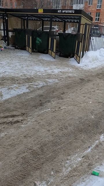 №201. Двор Г. Звезда 73 - Красноармейская 52. 5 марта 2025 г., 14:59:03. VID_20250305_145844319