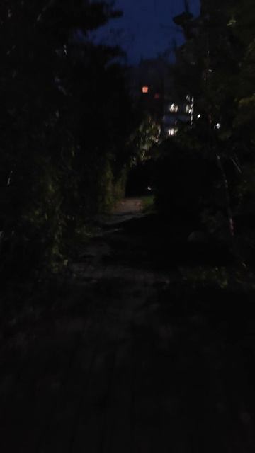 бугати смотреть онлайн