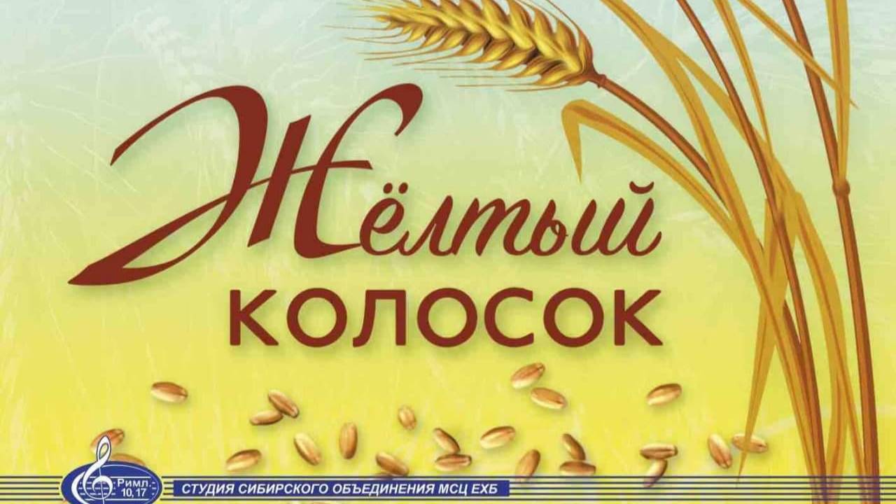 ЖЕЛТЫЙ КОЛОСОК МСЦ ЕХБ Детское пение и стихи смотреть онлайн