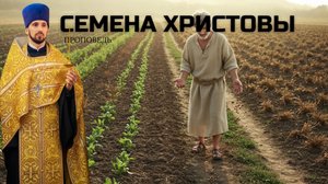Семена Христовы