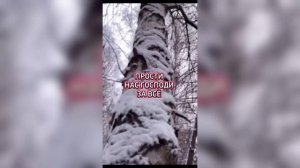 Прости нас господи