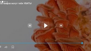 грибница тёмного опёнка составляет 880 гентаров