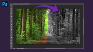 How to Desaturate an Image in Photoshop
