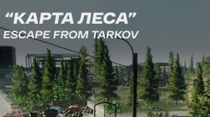 Гайд по выходам на локации Лес !!!