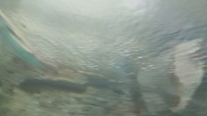 🌊🐙 Итоговая часть нашего путешествия по Воронежскому океанариуму! Уникальные морские обитатели.🦀