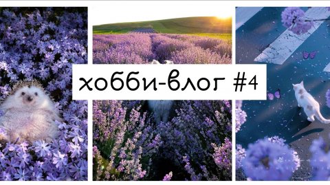 хобби влог #4 // крашу маркерами в коуч-котиках