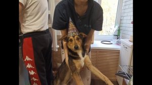 Ла-ла-ла и Бося