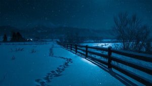 Deep Chill Music Mix 🌲 Deep Chillout Music Playlist for Unwinding Your Thoughts