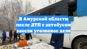 В Амурской области после ДТП с автобусом завели уголовное дело