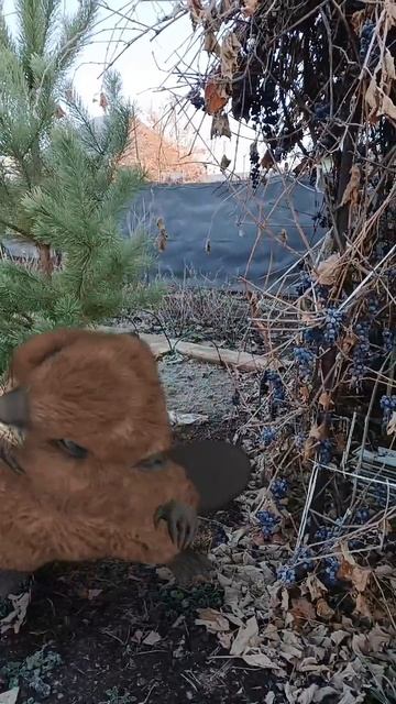 Доброе утро, Танцуй рутуб от Бобруськи 💖👍💯#утро смотреть онлайн