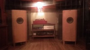 Rondo Lignolab Динамики Radio Shack