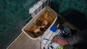 Арматура для унитаза. Замена арматуры без снятия бачка